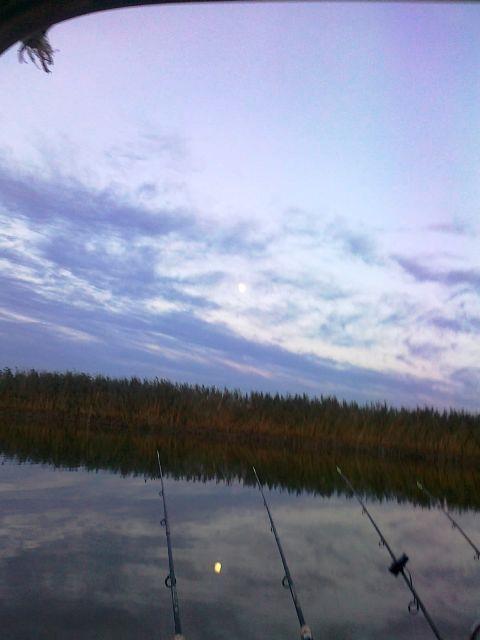 Doar ... NATURA - 3 - 170920131833.jpg